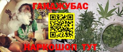 PSILOCYBIN Краснодар