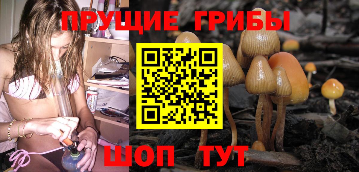 Псилоцибиновые грибы мухоморы Фурманов