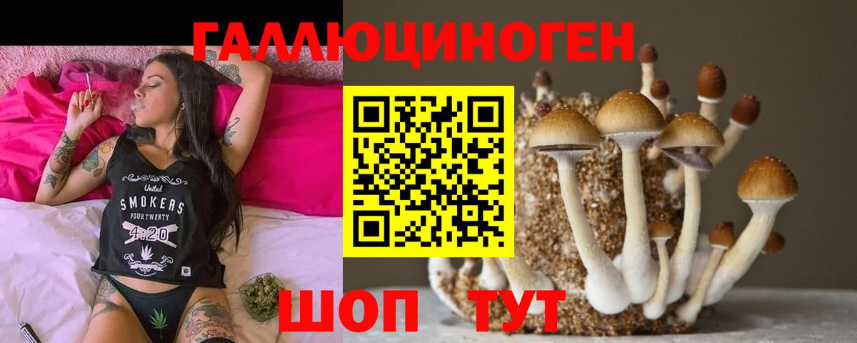 где продают   Псилоцибиновые грибы Cubensis  Вход с VPN  Фурманов  Псилоцибиновые грибы прущие грибы 